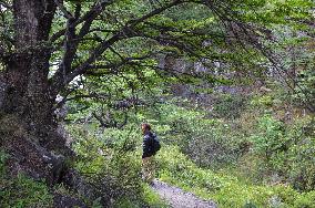 Illustration - Patagonie