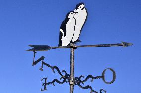 Illustration - Patagonie