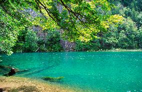 Illustration - Patagonie