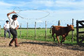 Illustration - Patagonie