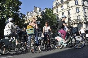 Illustration - Bike - Paris