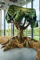 Illustration - Lille