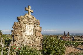 Illustration - Vin Beaujolais