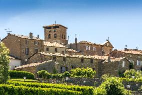 Illustration - Vin Beaujolais