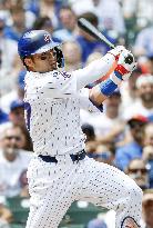 Baseball: Brewers vs. Cubs