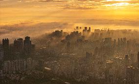 Morning Glow And Ethereal Adveling Fog in Nanjing