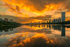 Morning Glow And Ethereal Adveling Fog in Nanjing