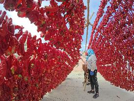 Farmers Drying Chili Peppers