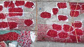 Farmers Drying Chili Peppers