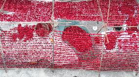 Farmers Drying Chili Peppers