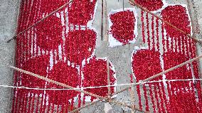 Farmers Drying Chili Peppers