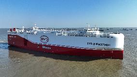 BYD Pure Car Truck Carrier
