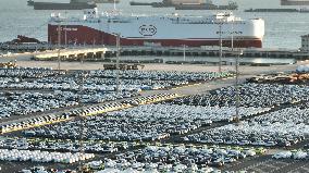 BYD Pure Car Truck Carrier