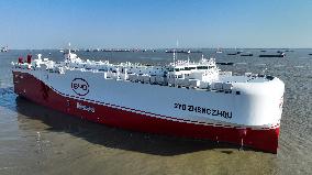 BYD Pure Car Truck Carrier