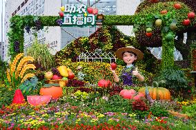 Theme Flower Bed in Beijing