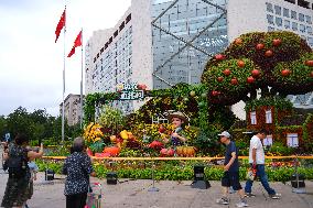 Theme Flower Bed in Beijing