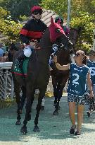 Aga Khan Studs Prix Jacques Le Marois Opens - Deauville