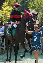 Aga Khan Studs Prix Jacques Le Marois Opens - Deauville