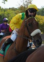 Aga Khan Studs Prix Jacques Le Marois Opens - Deauville