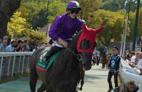 Aga Khan Studs Prix Jacques Le Marois Opens - Deauville