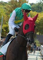 Aga Khan Studs Prix Jacques Le Marois Opens - Deauville