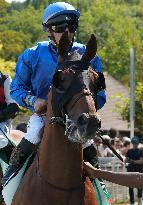 Aga Khan Studs Prix Jacques Le Marois Opens - Deauville