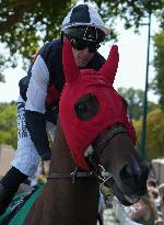 Aga Khan Studs Prix Jacques Le Marois Opens - Deauville