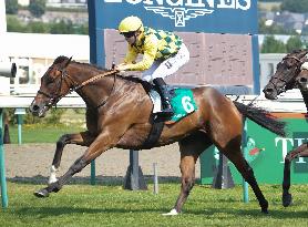 Aga Khan Studs Prix Jacques Le Marois Opens - Deauville