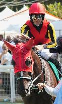 Aga Khan Studs Prix Jacques Le Marois Opens - Deauville