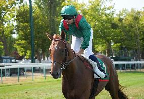 Aga Khan Studs Prix Jacques Le Marois Opens - Deauville