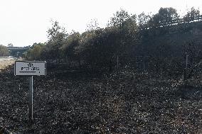 Wildfires in Caceres - Spain