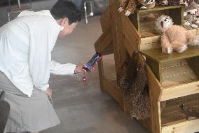 A Sloth Cafe in Hangzhou