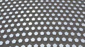 Llargest Molten Salt Tower Solar Thermal Power Station in China