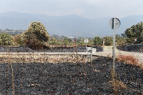 Spain Gripped by Violent Wildfires