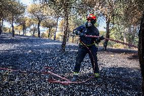 Spain Gripped by Violent Wildfires