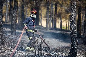 Spain Gripped by Violent Wildfires