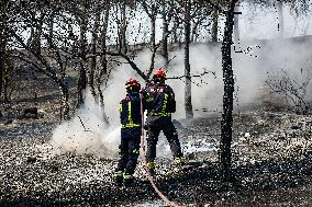 Spain Gripped by Violent Wildfires