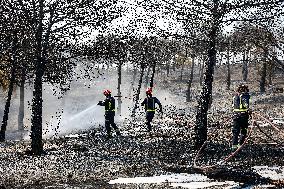 Spain Gripped by Violent Wildfires