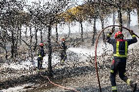 Spain Gripped by Violent Wildfires