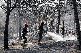 Spain Gripped by Violent Wildfires