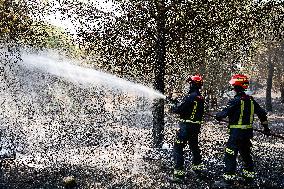 Spain Gripped by Violent Wildfires