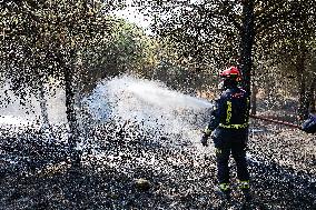 Spain Gripped by Violent Wildfires