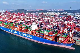 Container Shipping in Qingdao Port