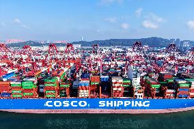 Container Shipping in Qingdao Port