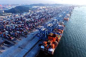 Container Shipping in Qingdao Port