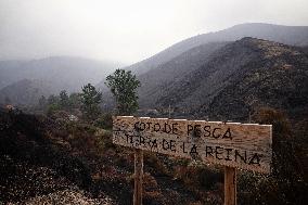 Spain Gripped by Violent Wildfires