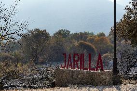 Spain Gripped by Violent Wildfires
