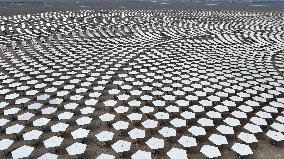 Llargest Molten Salt Tower Solar Thermal Power Station in China