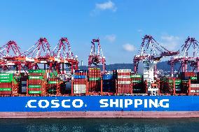 Container Shipping in Qingdao Port