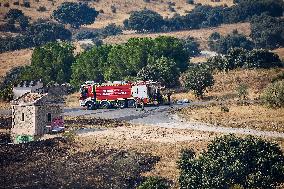Spain Gripped by Violent Wildfires